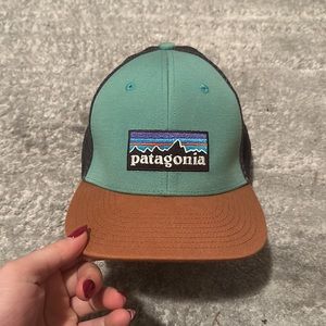 Patagonia SnapBack